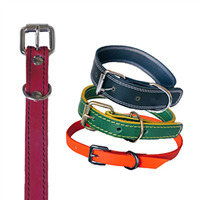 Ошейники из кожи и биотана