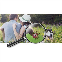 РЕПЕЛЛЕНТЫ